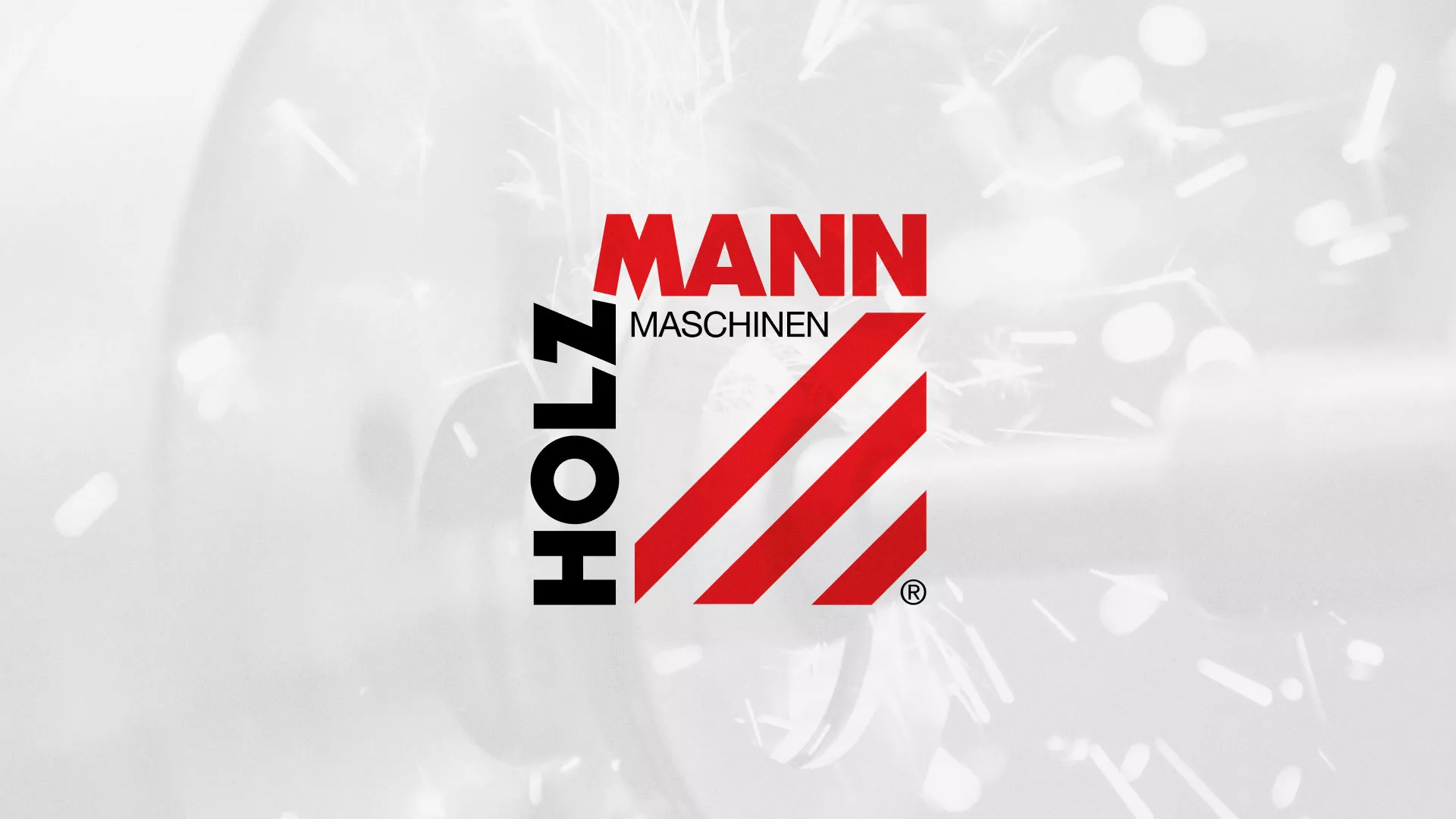 Создание сайта компании «HOLZMANN Maschinen GmbH» в Купино